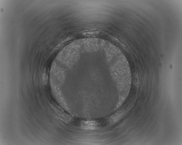 X0000081410324200702021609