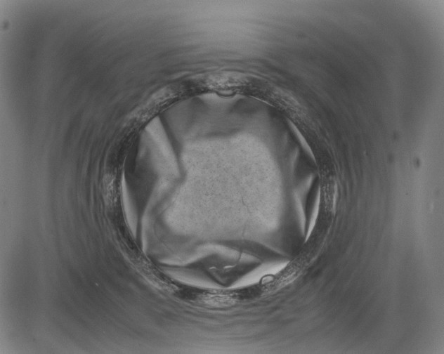 X0000081410327200702021609