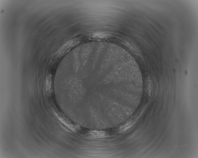 X0000081410328200702021609