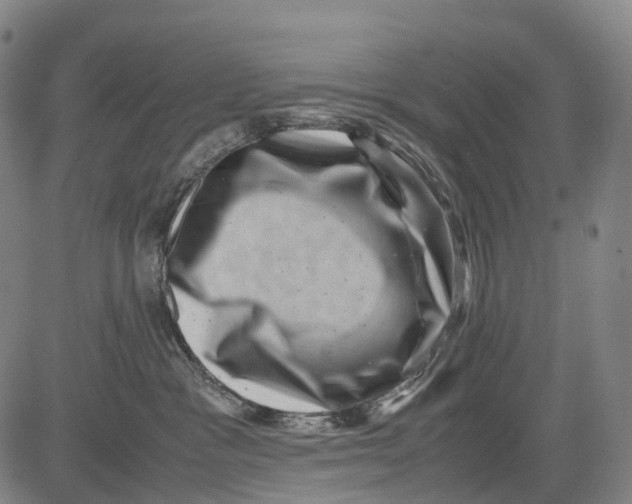 X0000081410333200702021608