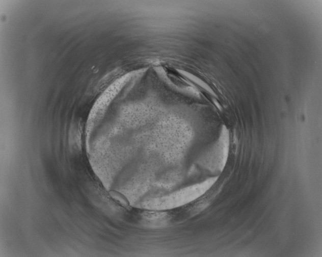 X0000081410334200702021608