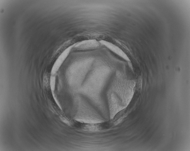 X0000081410335200702021608