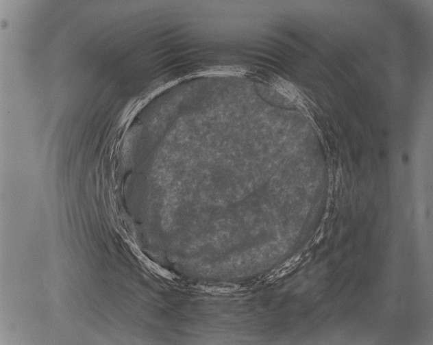 X0000081410337200702021608