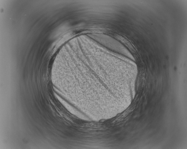 X0000081410338200702021608