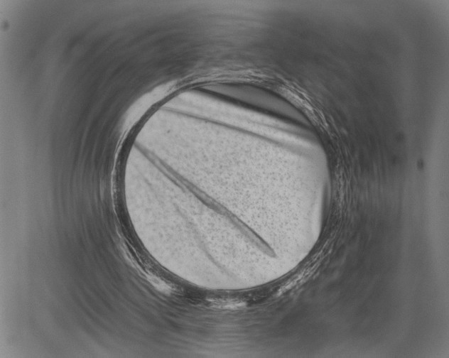 X0000081410340200702021608