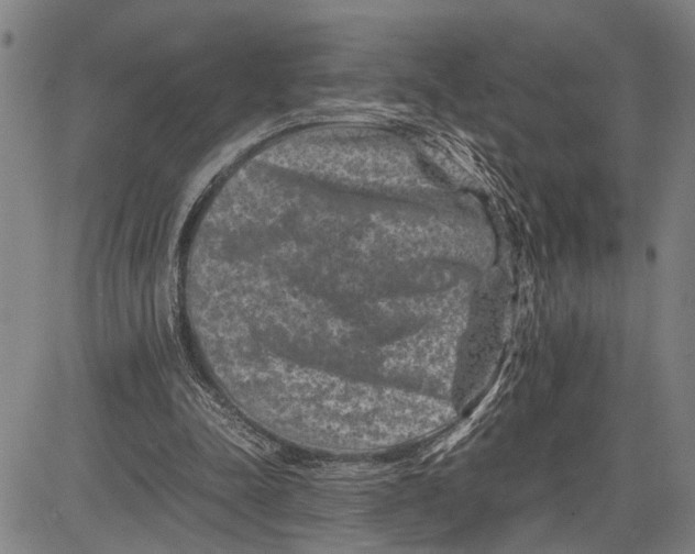 X0000081410342200702021608