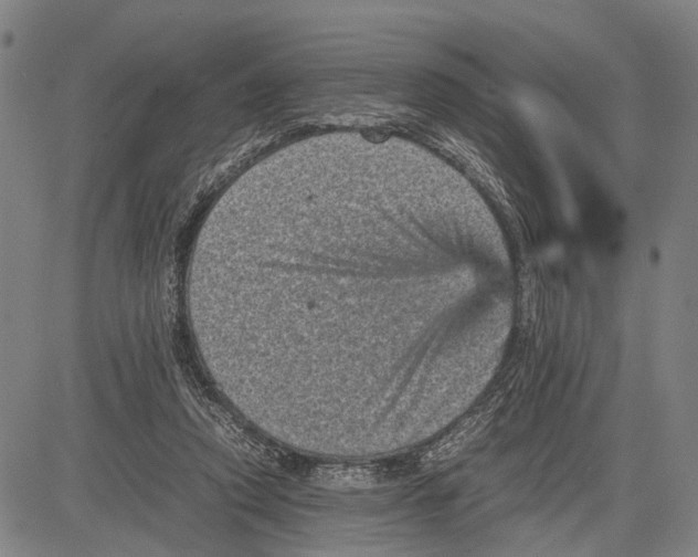 X0000081410354200702021608