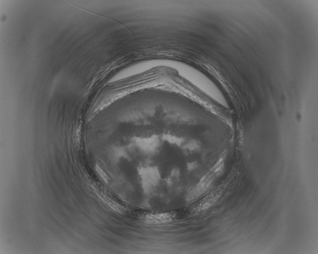 X0000081410357200702021608