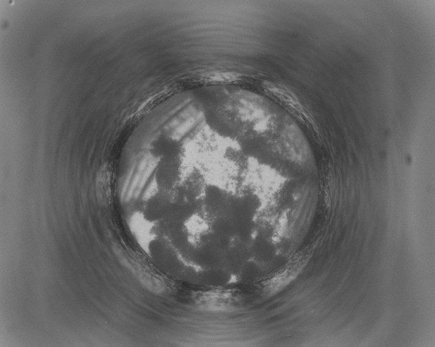 X0000081410366200702021608
