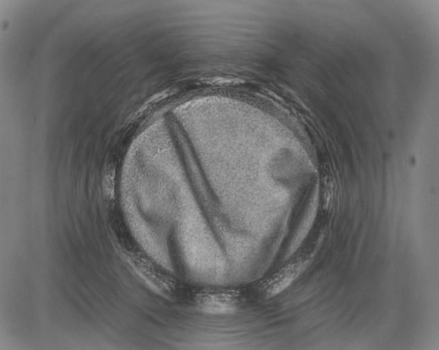 X0000081410368200702021608