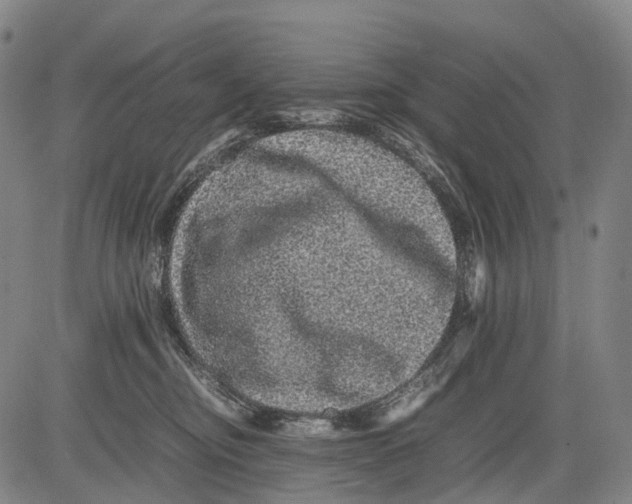 X0000081410374200702021608