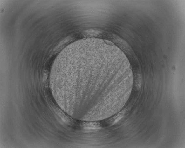 X0000081410378200702021608