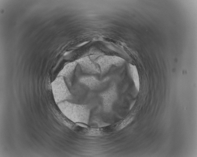 X0000081410384200702021608