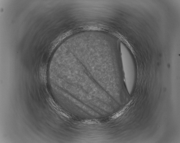 X0000081410386200702021608