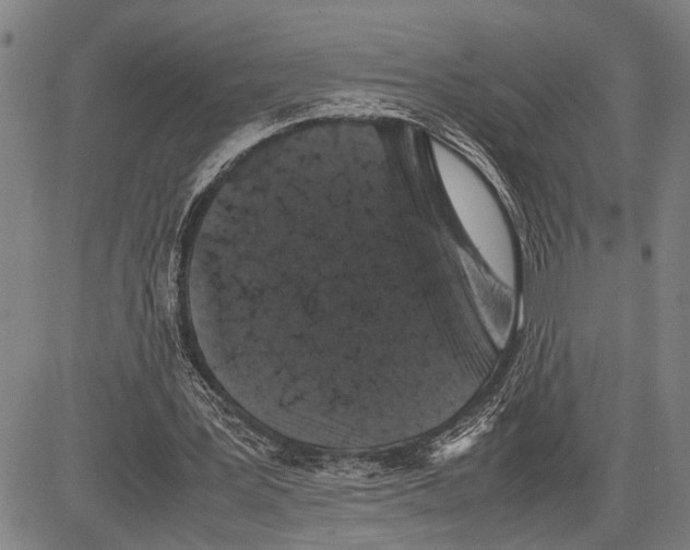 X0000081410387200702021608