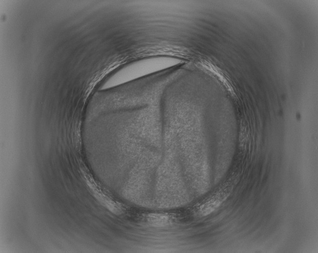 X0000081410394200702021608