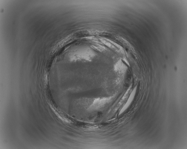 X0000081410405200702021607