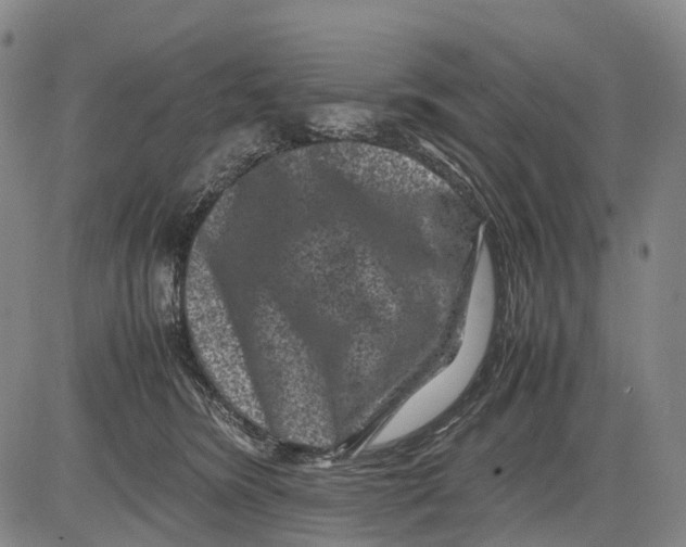 X0000081410420200702021607