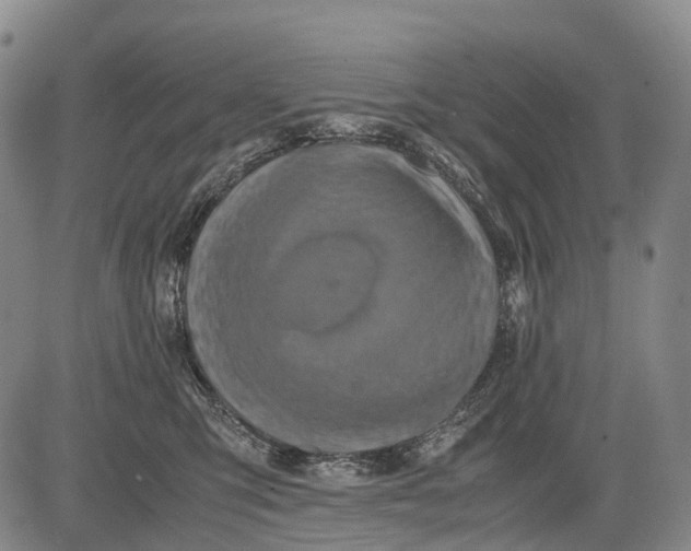 X0000081410423200702021607