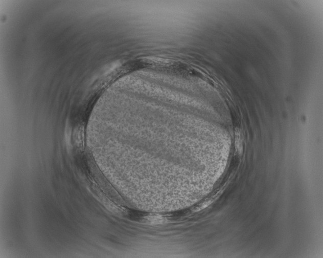 X0000081410425200702021607