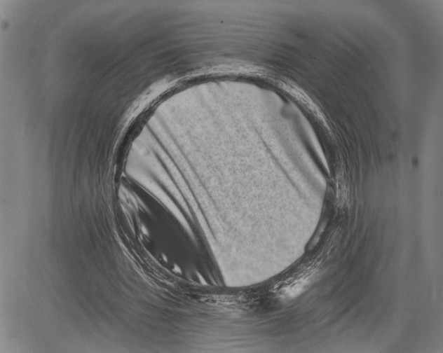 X0000081410436200702021606