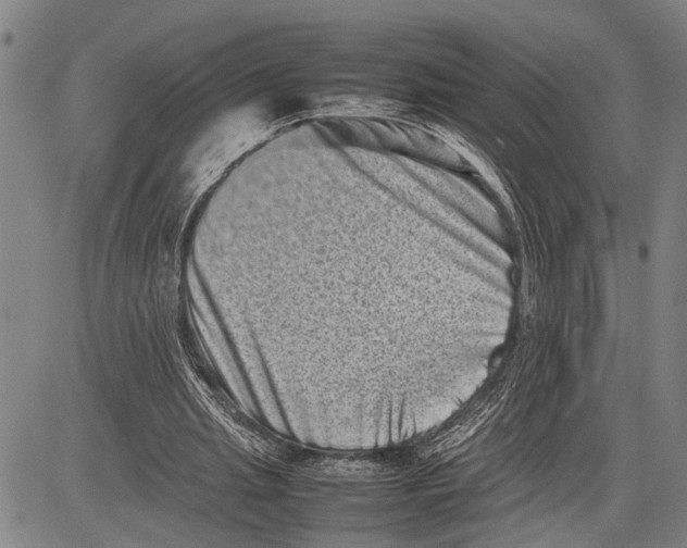 X0000081410437200702021606