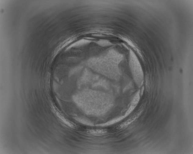 X0000081410445200702021606