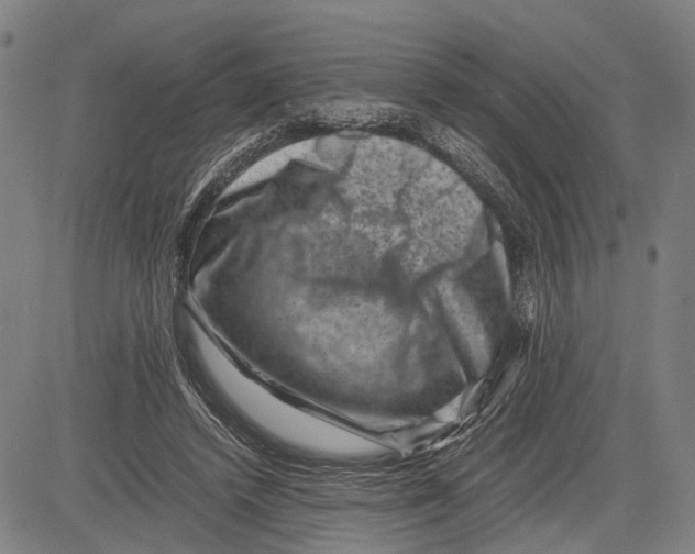X0000081410448200702021606