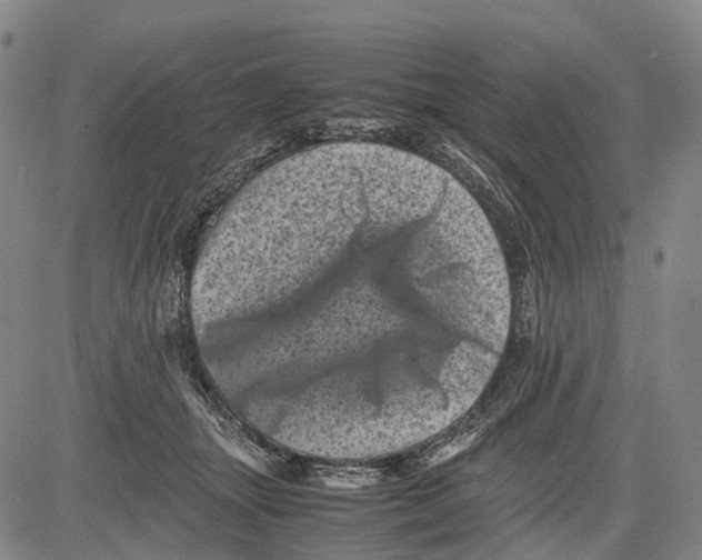X0000081410463200702021607