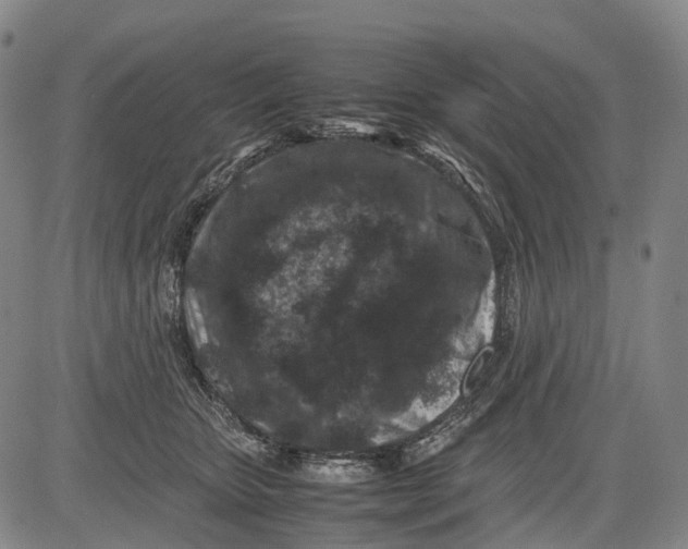 X0000081410467200702021607