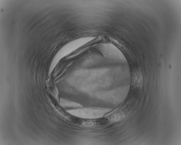 X0000081410470200702021607