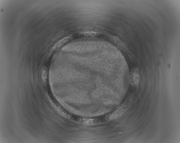 X0000081410472200702021607