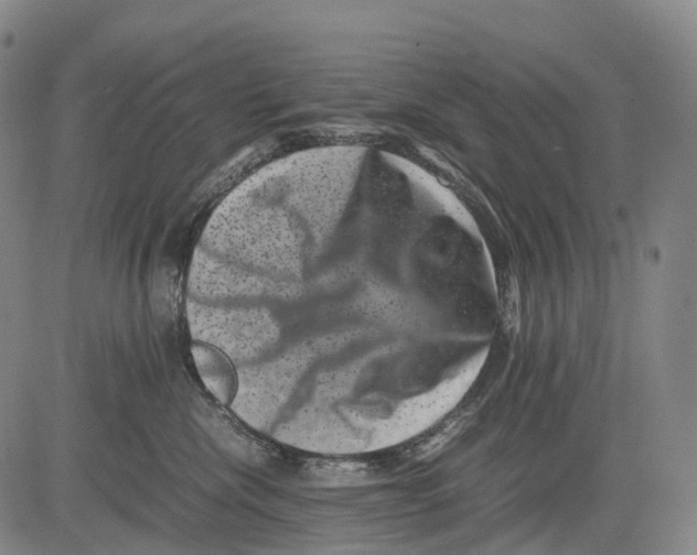 X0000081410476200702021607