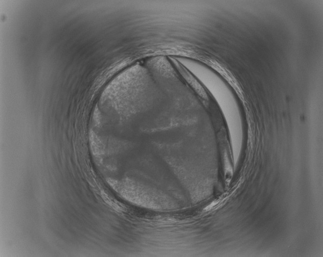 X0000081410481200702021606
