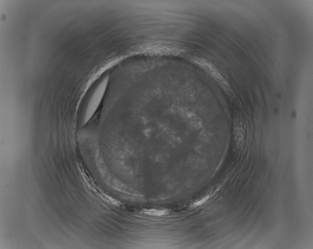 X0000081410488200702021606