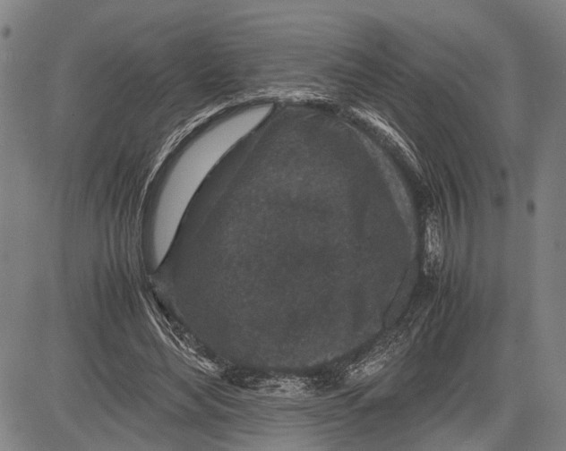 X0000081410492200702021606