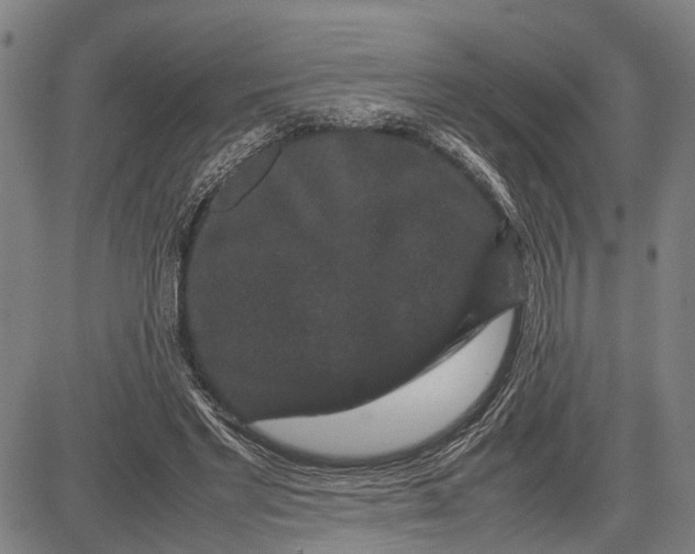 X0000081410493200702021606
