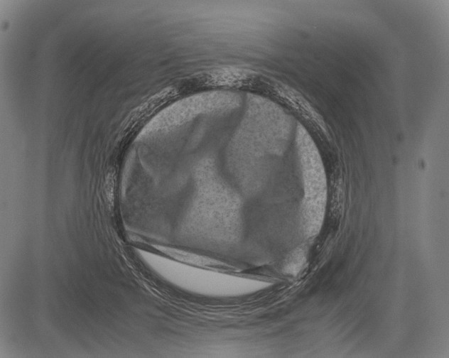 X0000081410505200702021606