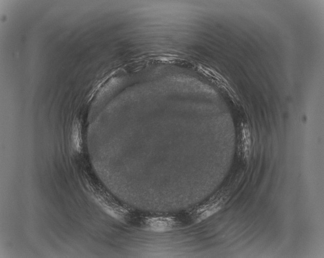 X0000081410508200702021606