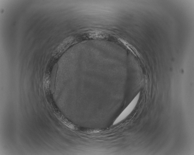 X0000081410513200702021606