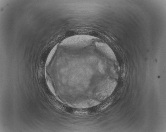 X0000081410515200702021606