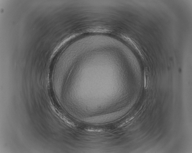 X0000081410531200702021605