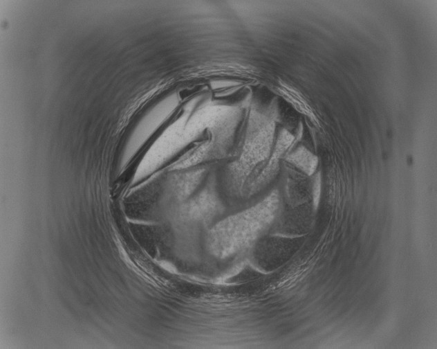 X0000081410538200702021605