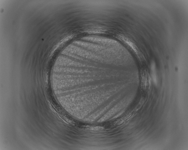 X0000081410539200702021605