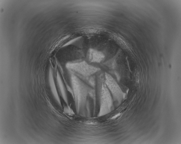 X0000081410546200702021605