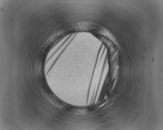 X0000081410548200702021605
