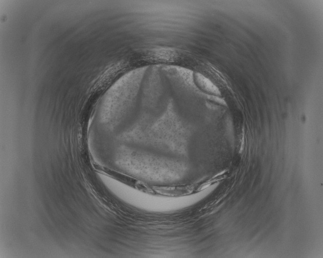 X0000081410552200702021605