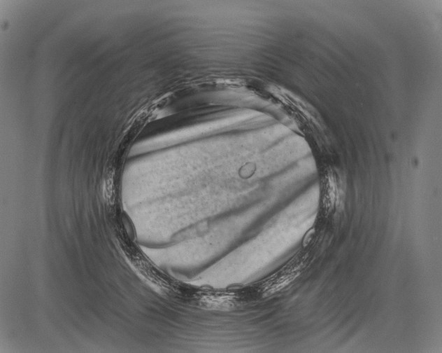 X0000081410560200702021605