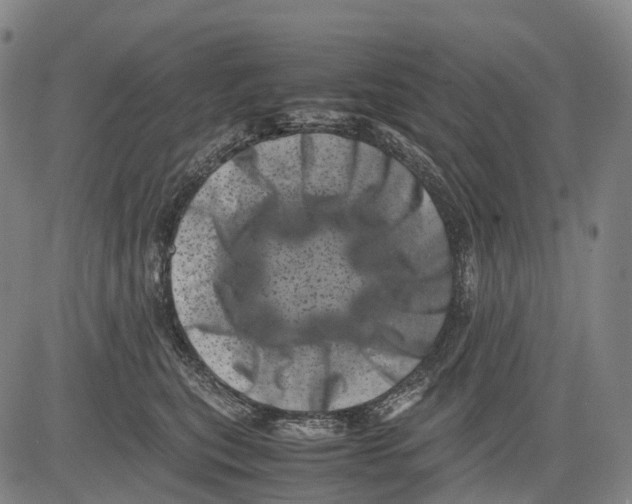 X0000081410567200702021605
