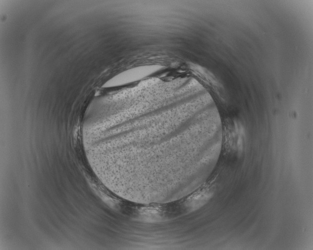 X0000081410574200702021605
